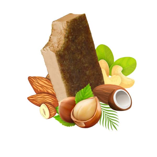 hazelnut-1